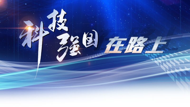 数字化改造：企业升级的“破茧成蝶